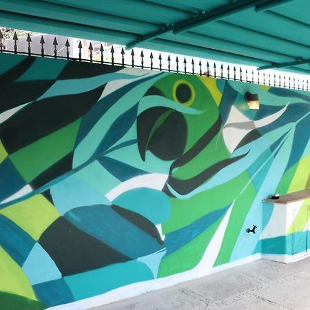 ساو باولو Mondo Verde Hostel المظهر الخارجي الصورة